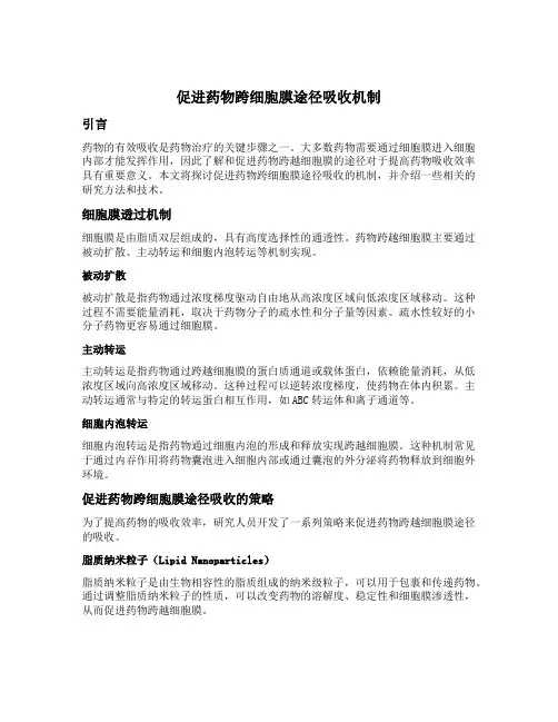 促进药物跨细胞膜途径吸收机制