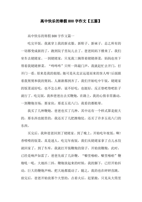 高中快乐的寒假800字作文【五篇】