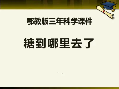《糖到哪里去了》饮用水PPT课件