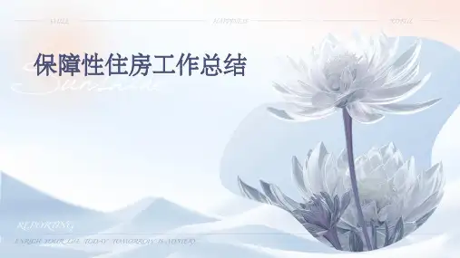 保障性住房工作总结PPT