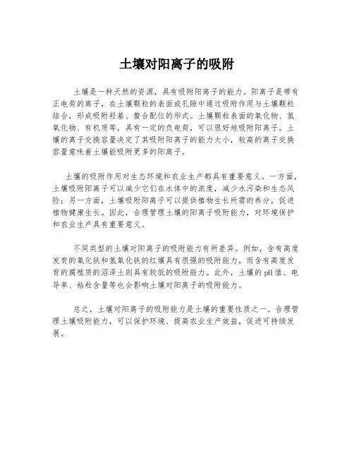 土壤对阳离子的吸附