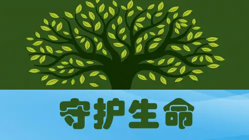 守护生命ppt优秀课件14 人教版