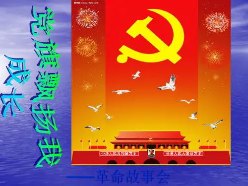 五星红旗迎风飘扬精品PPT课件