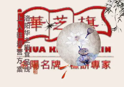 食品公司线上托管运营方案