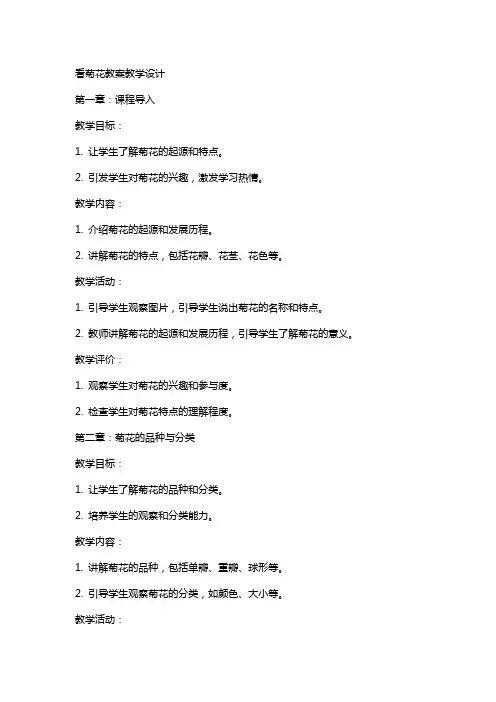 看菊花教案教学设计