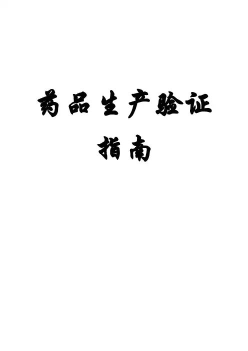药品生产验证指南