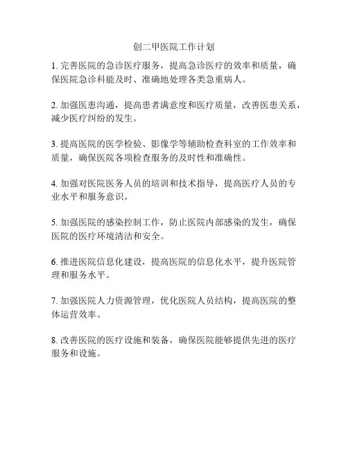 创二甲医院工作计划