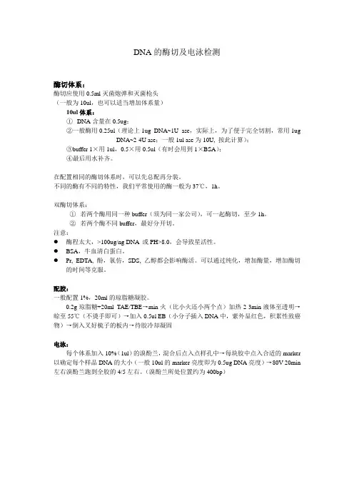 DNA的酶切及电泳检测
