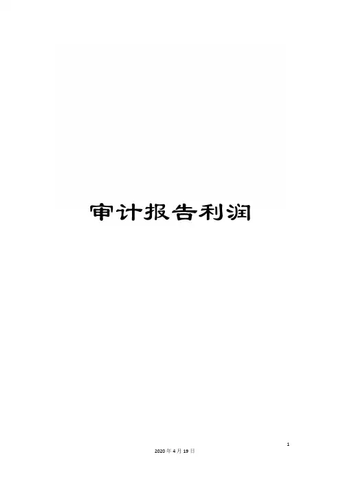 审计报告利润