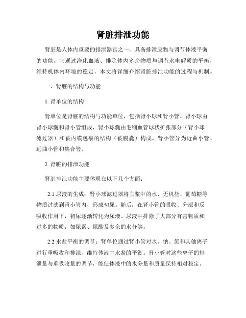 肾脏排泄功能
