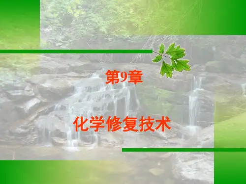 土壤污染化学修复ppt课件