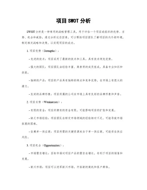 项目SWOT分析