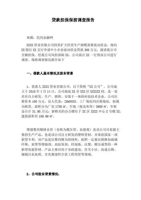 贷款担保保前调查报告