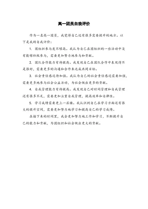 高一团员自我评价