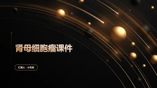 肾母细胞瘤课件