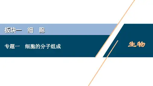 专题01 细胞的分子组成-2021年高考生物二轮模块复习课件(共91张PPT)