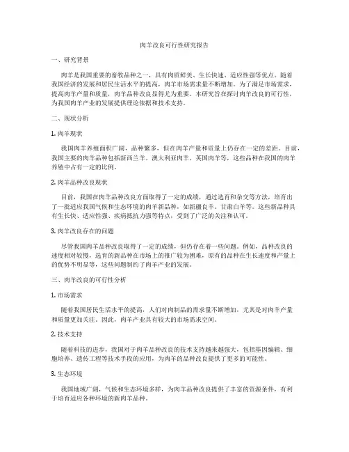 肉羊改良可行性研究报告