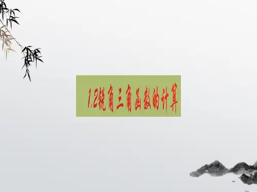 《锐角三角函数的计算》PPT课件 (公开课获奖)2022年浙教版 (2)