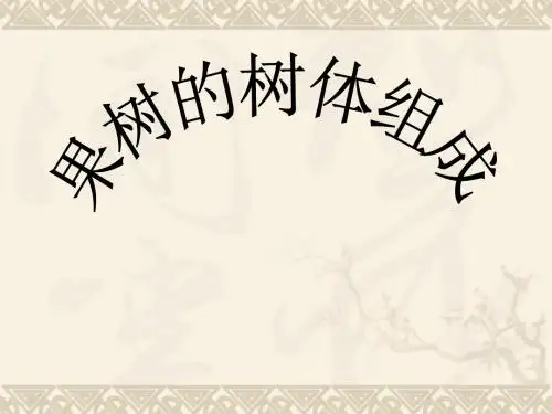 果树的树体组成