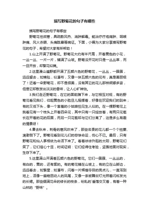 描写野菊花的句子有哪些