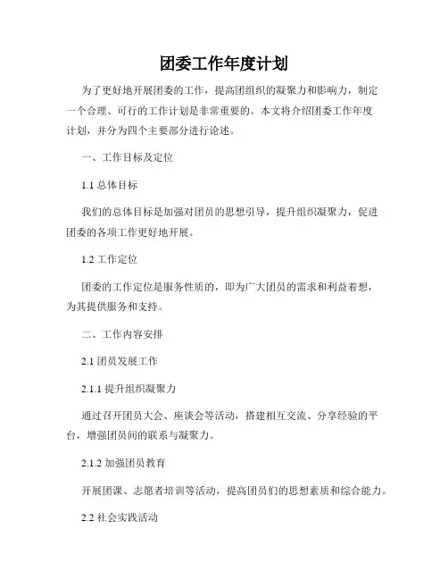 团委工作年度计划