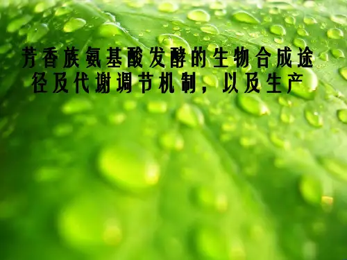 芳香族氨基酸发酵幻灯片PPT