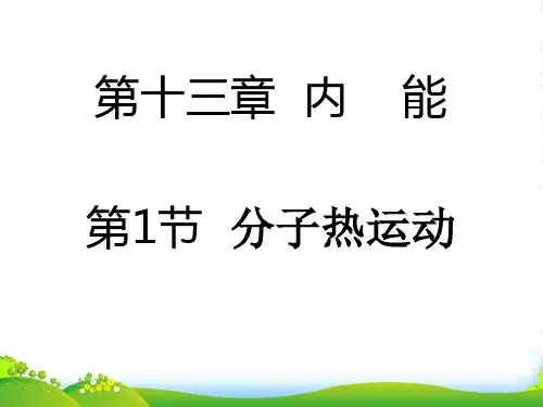 新人教版九年级物理课件第13章第1节 分子的热运动 (共20张PPT)