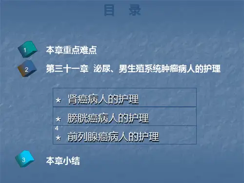 肾癌PPT课件