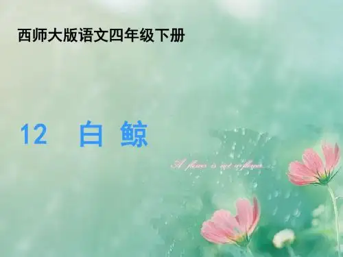 四年级下册语文课件-3.12 白鲸｜西师大版 共26张PPT