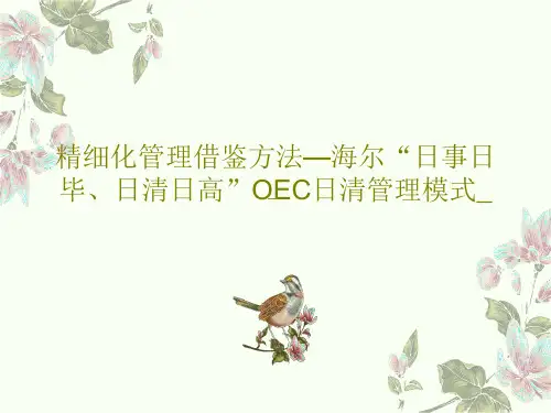 精细化管理借鉴方法—海尔“日事日毕、日清日高”OEC日清管理模式_共36页文档