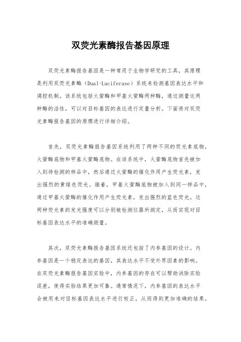 双荧光素酶报告基因原理