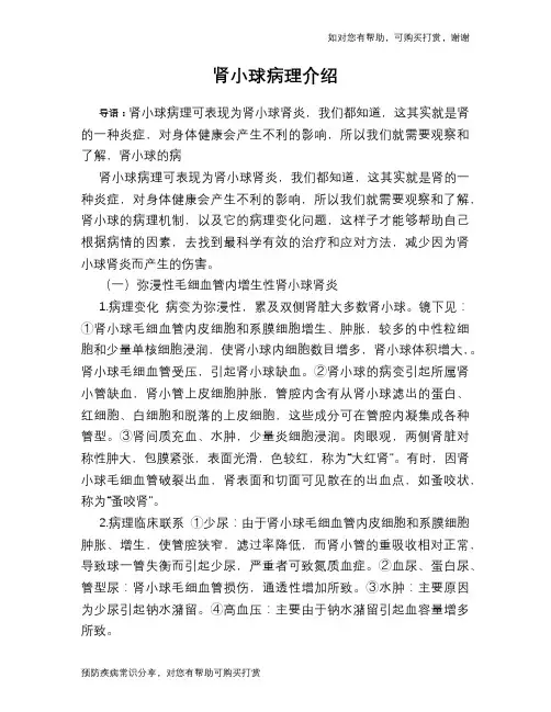 肾小球病理介绍
