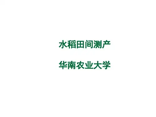 水稻田间测产试验