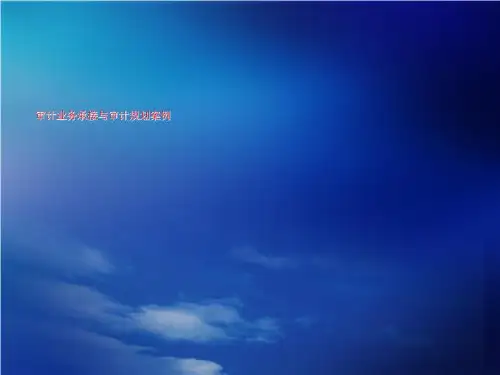 审计业务承接与审计规划案例