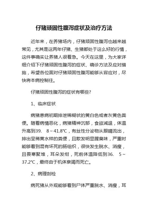 仔猪顽固性腹泻症状及治疗方法