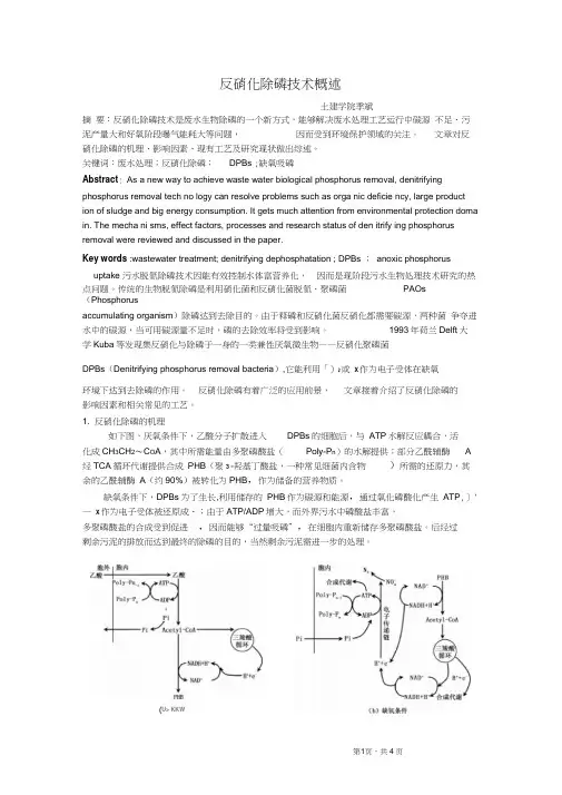 反硝化除磷技术概述