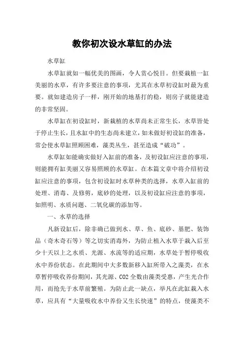 教你初次设水草缸的办法