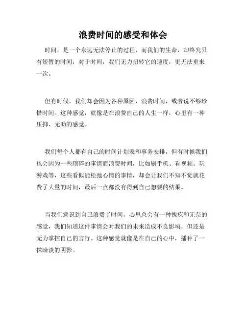 浪费时间的感受和体会