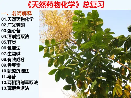 天然药物化学总复方案