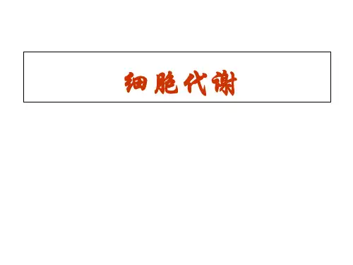 细胞代谢课件