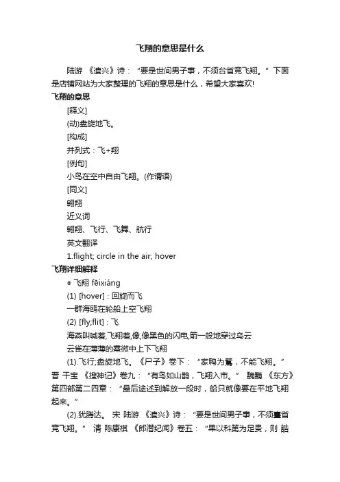 飞翔的意思是什么