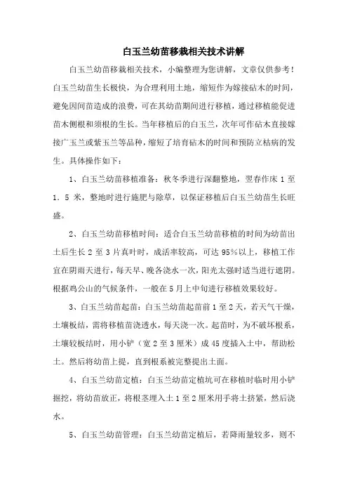 白玉兰幼苗移栽相关技术讲解