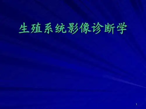生殖系统影像诊断学课件