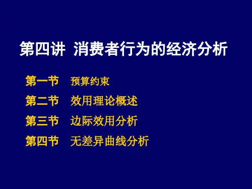 第四讲-消费者行为理论课件
