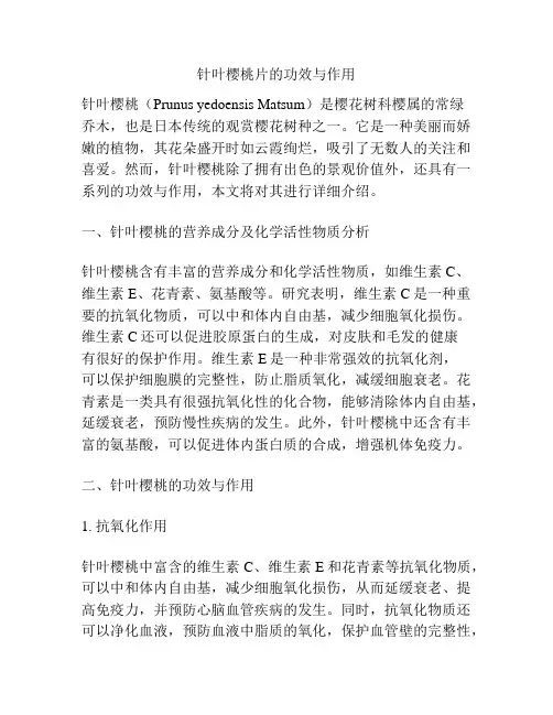 针叶樱桃片的功效与作用