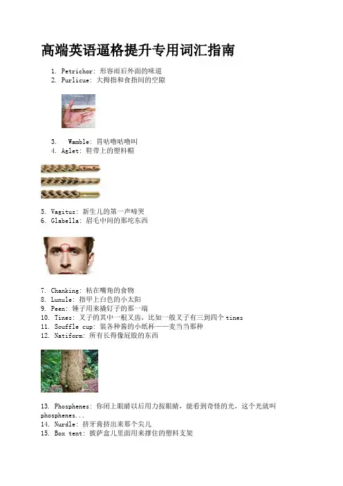 英语生僻词