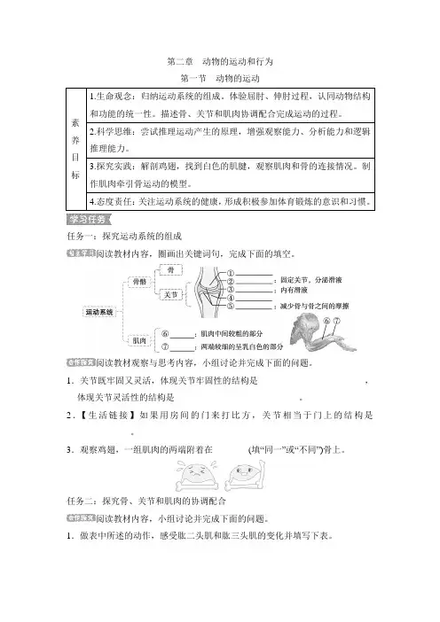5.2.1动物的运动导学案人教版生物八年级上册