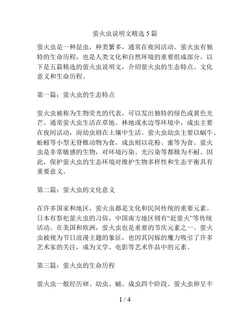 萤火虫说明文精选5篇