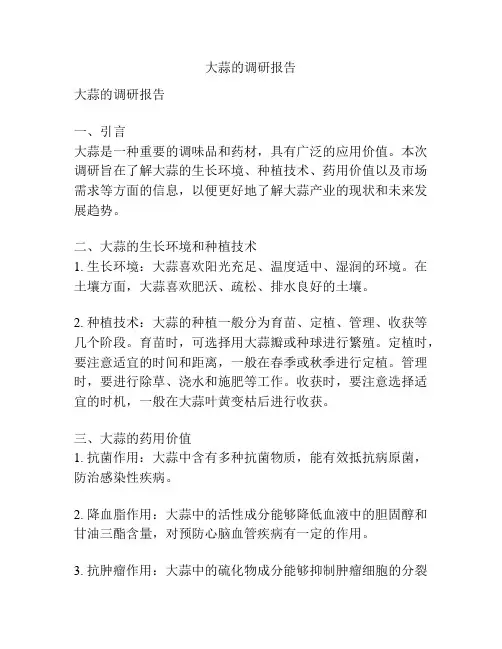 大蒜的调研报告
