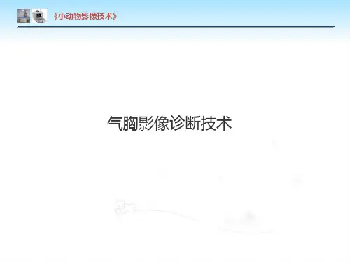 【小动物影像技术课件】气胸影像诊断技术
